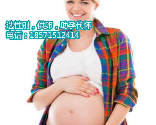 苏州供卵试管入户口,2上海试管婴儿成功率如何提高