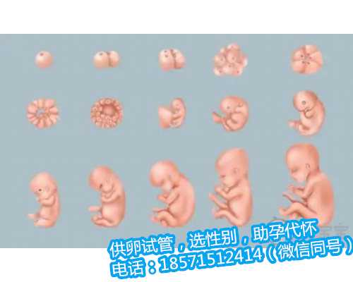 佛山试管婴儿囊胚移植做得最好的机构在哪里？