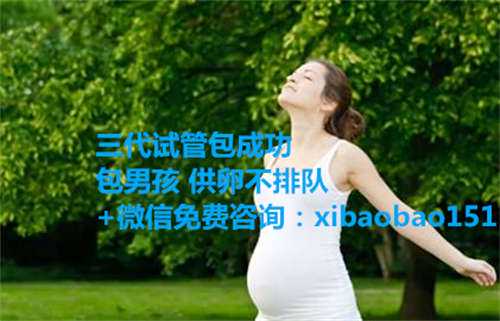 上海供卵试管婴儿多少钱_二代试管一次移植几个胚胎比较好？