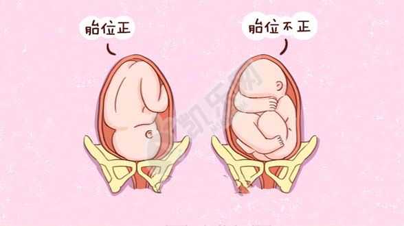 苏州供卵试管生殖机构选性别,泰国试管婴儿费用为什么比国内贵